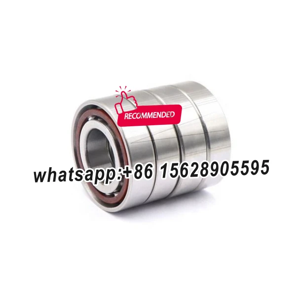 30BNR10STYNDBBLP4 NSK