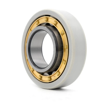 Insulated cylindrical roller bearings 21 Insulated cylindrical roller bearings 21